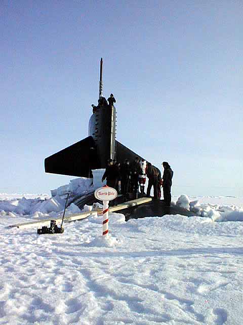 Hawkbill on the Ice