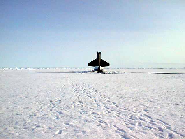 Hawkbill on the Ice